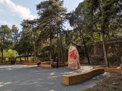 -北京鹫峰国家森林公园
