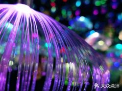 点击看大图 -萌兔星空蹦床撸兔馆