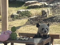 -无锡动物园·太湖欢乐园