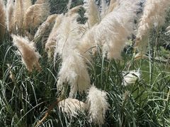 -昆明动物园