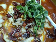 麻辣水煮鱼黑鱼-老成都活鱼馆(祁昌路店)