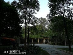 -清湖文化公园