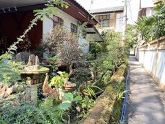 -帕辛寺