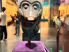 -广西壮族自治区博物馆