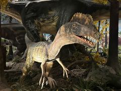 -湖南省地质博物馆