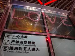 -339旋转餐厅(天府熊猫塔店)