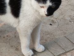 -上海佘山国家森林公园天马山园