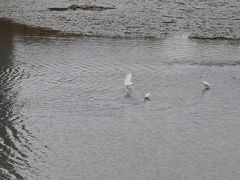 -怡海公园(桂城街道)