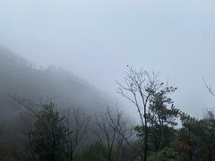 -四明山国家森林公园