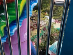 -深圳野生动物园