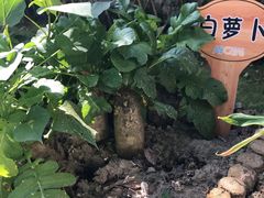 -昱南托育园.托班晚托.寒暑假班