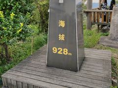 -江南天池