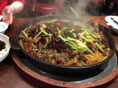 老板恋上鱼-老板恋上鱼(高新万达店)