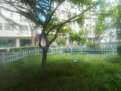 -中国人民解放军第九医学中心(306医院)