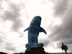 -珠海长隆海洋王国