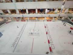 -炫采冰场(红博中央公园商场店)