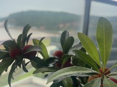 -朱家尖南沙景点