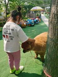 -萌宠亲子动物乐园(槐房万达店)