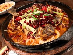 -老板恋上鱼(高新万达店)
