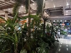 -弘安丽水温泉酒店