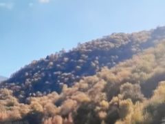 -官滩沟风景区