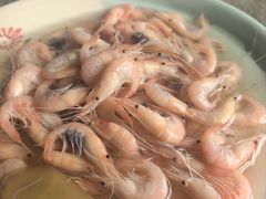 -亮河湾山庄