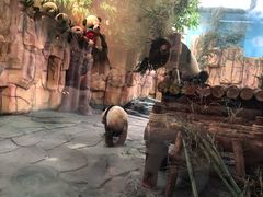 -泉州海丝野生动物世界