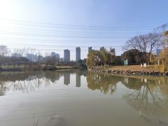 -九里河湿地公园