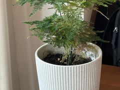 -MIMO CAFE(沙头角店)