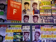 -金龙咖喱