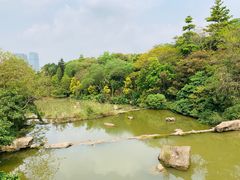 -云溪植物园