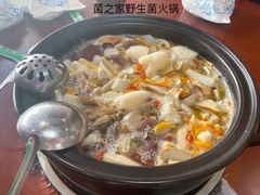 -菌之家·专业纯野生菌火锅·特色炒菌