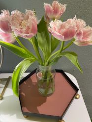 -花隐·美芙炫海菲秀皮肤管理中心