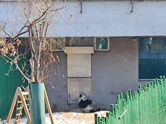 -沈阳森林动物园