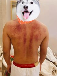 -美丽田园