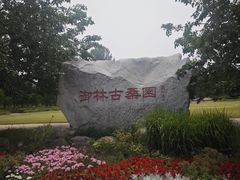 -御林古桑园