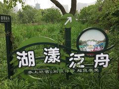 -长兴太湖图影湿地文化园