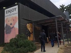 -济州岛泰迪熊博物馆