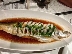 -金美华轩(东方路齐鲁店)