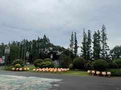 -上海长兴岛郊野公园