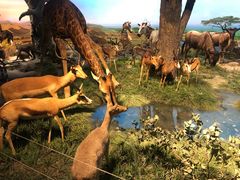 -国家自然博物馆