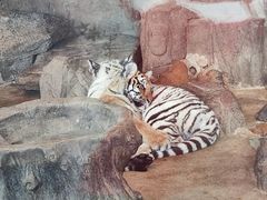 -横道河子东北虎林园