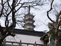 -苏州上方山国家森林公园