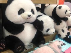 -熊猫邮局(少城店)