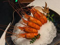 -桂满陇·海市蜃楼·黑金(国金店)