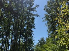 -中家鑫园温泉酒店鑫悦汤泉