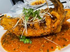 -金熊猫川菜餐厅