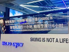 -Hopo Snow 城市滑雪空间(来福士广场购物中心店)