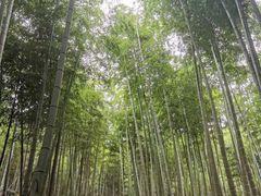 -众神白水涧景区
