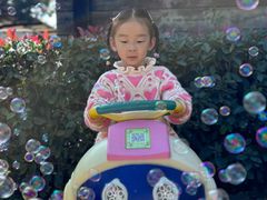 -艾溪湖湿地公园